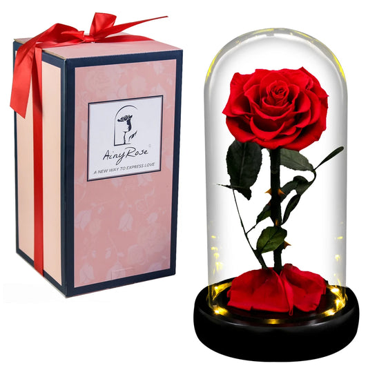 Forever Preserved Rose In Glass LED Light Gift Valentines