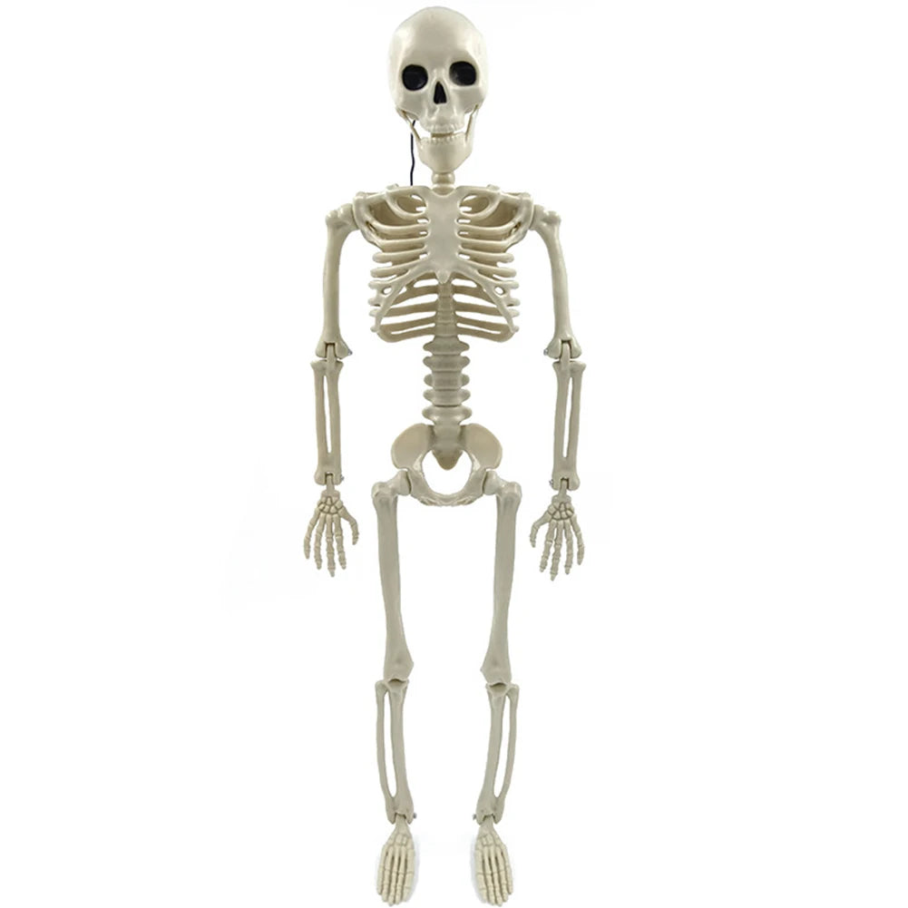 Halloween Horror Skeleton Statue Movable Joints Yard Garden