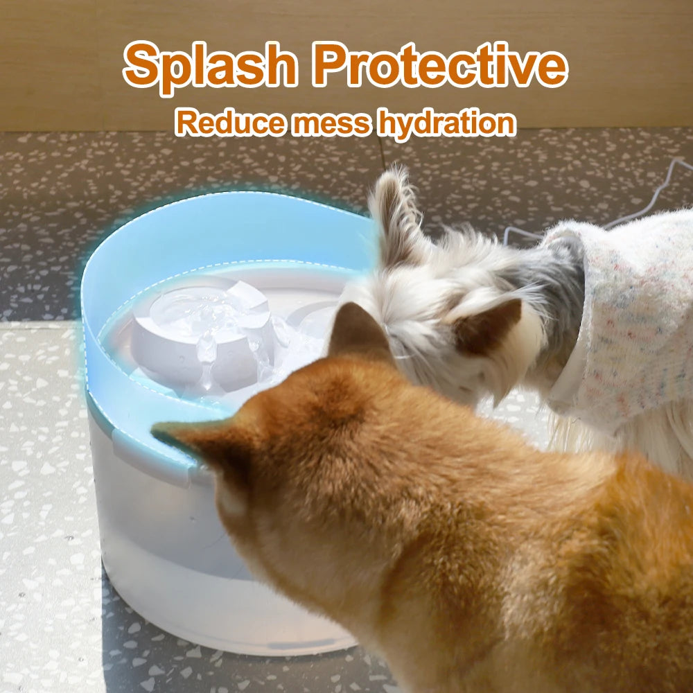 NPET 2 Gallon White Dog Water Fountain For Large And Medium Dogs
