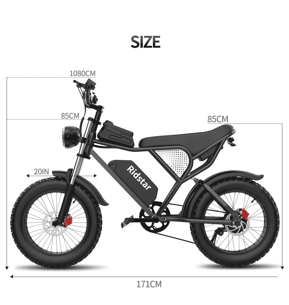 RidstarQ20 2000W Dual Motor Mountain E Bike 52V 40Ah