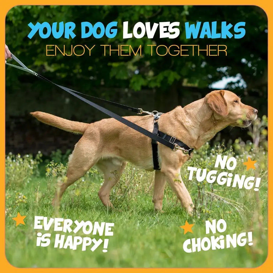 Freedom No Pull Adjustable Dog Harness and Leash Set For Small Medium Large