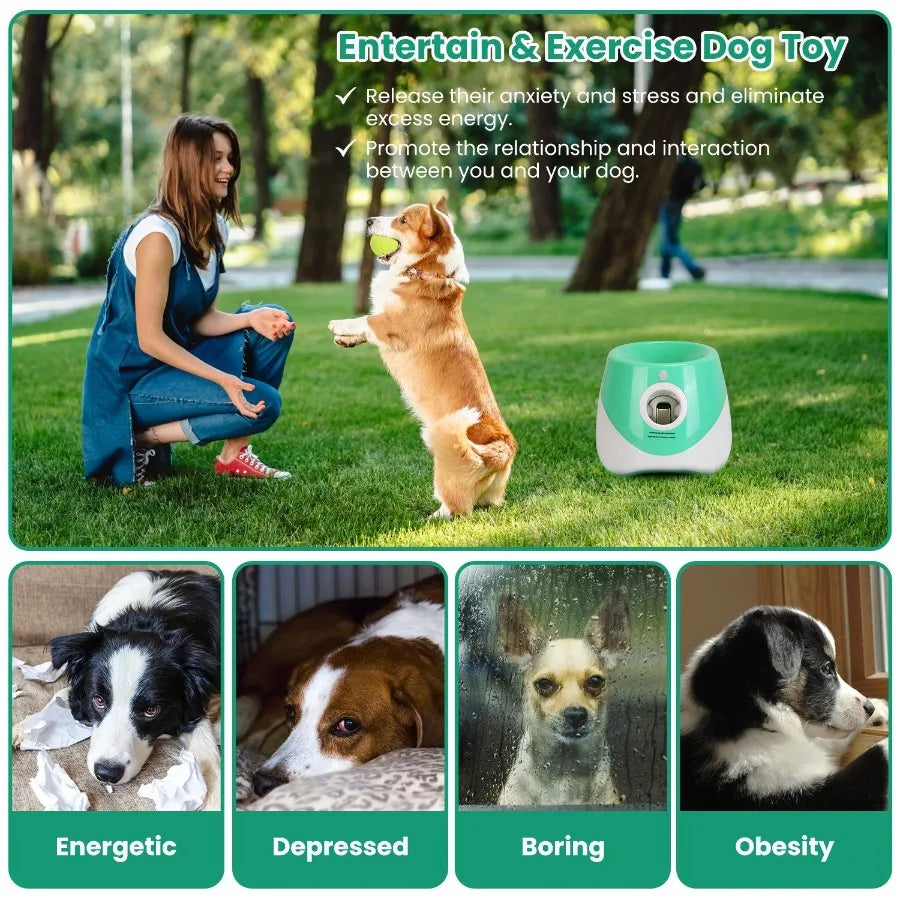 Automatic Dog Ball Launcher And 3 Adjustable Distances