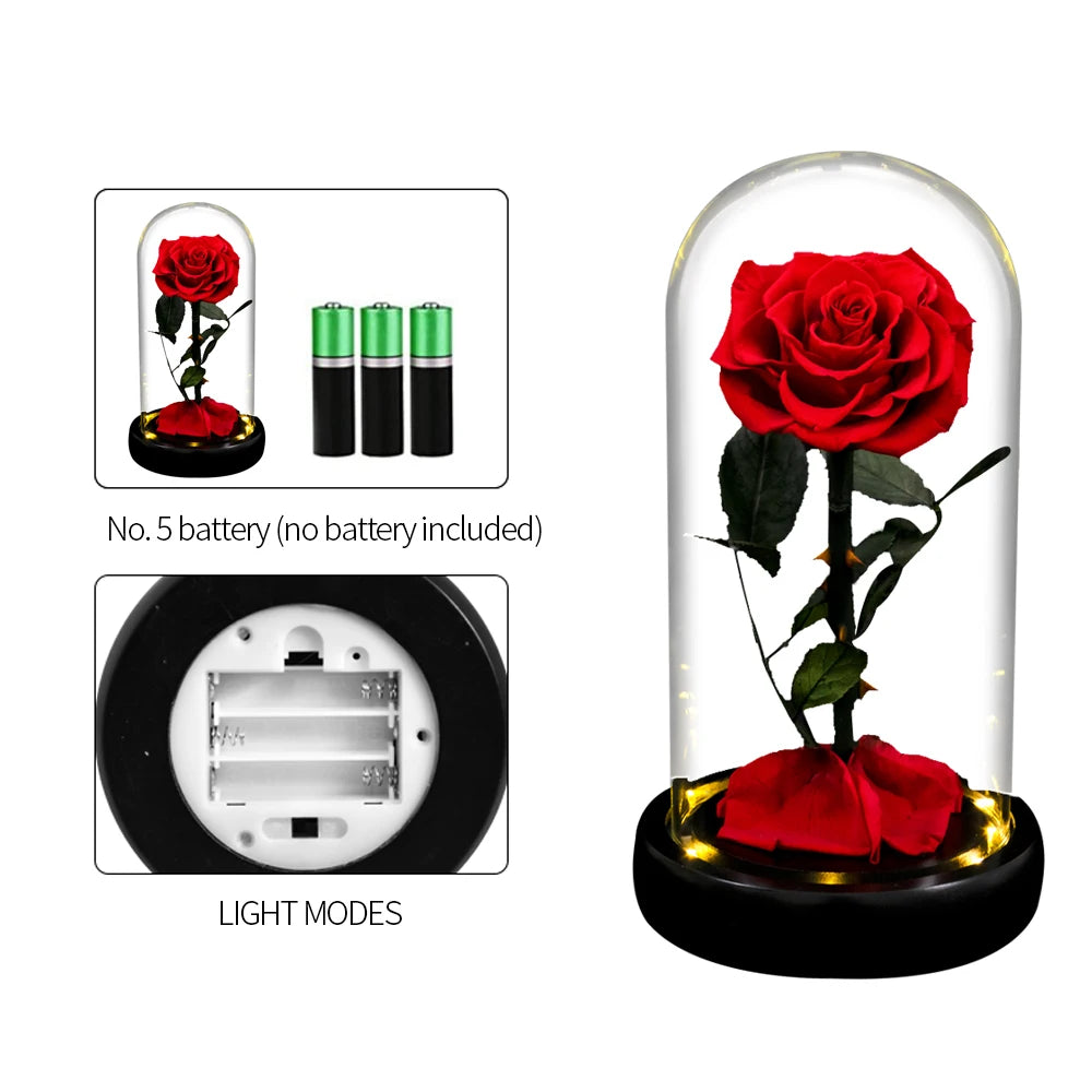 Forever Preserved Rose In Glass LED Light Gift Valentines