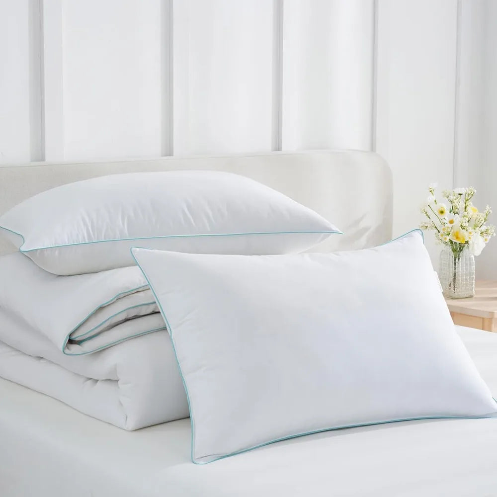 Queen Size Pillow Set Of 2 With Soft Cotton Cover 20x30