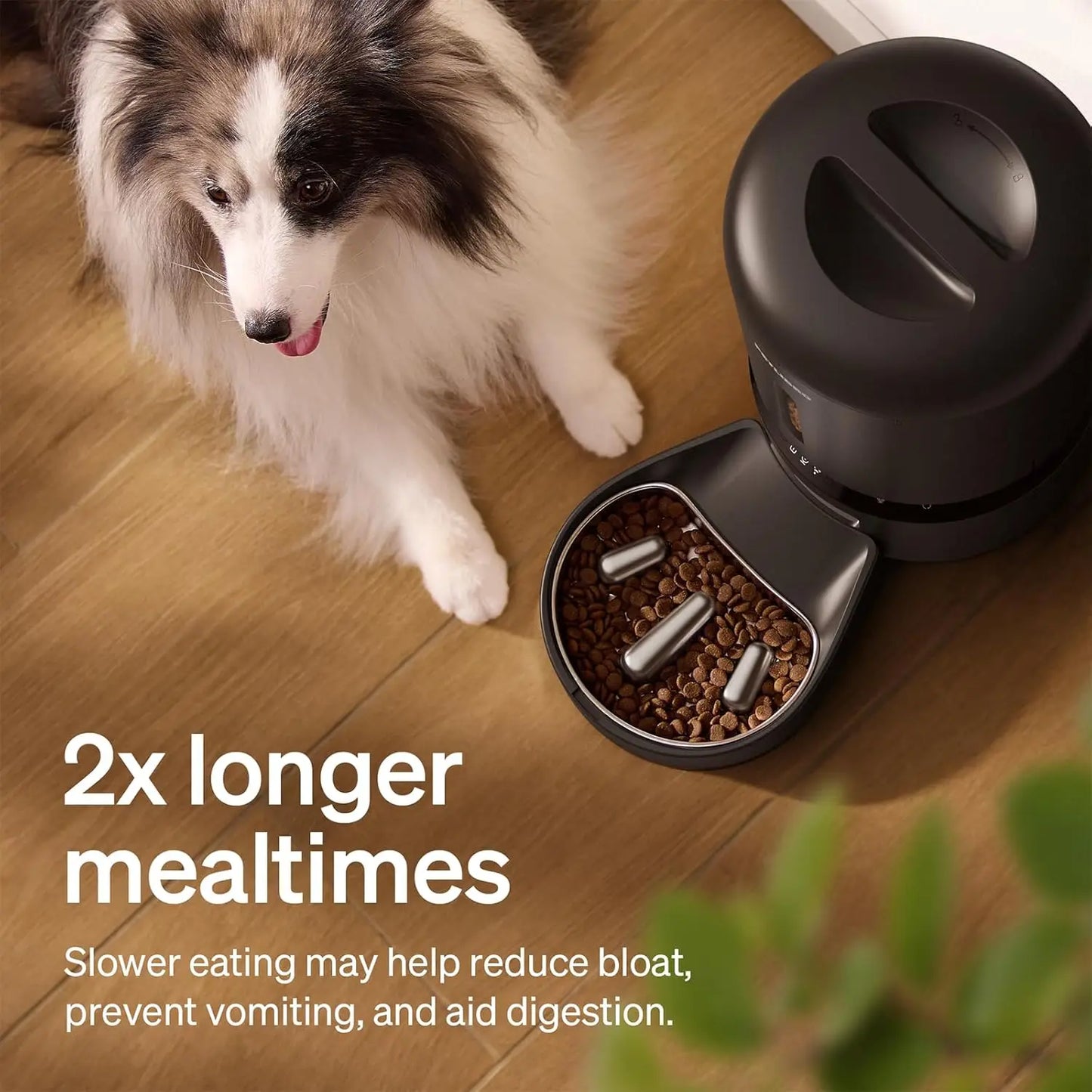 Automatic Pet Feeder With Camera 1080P HD Night Vision Slow Feed Bowl WiFi Audio