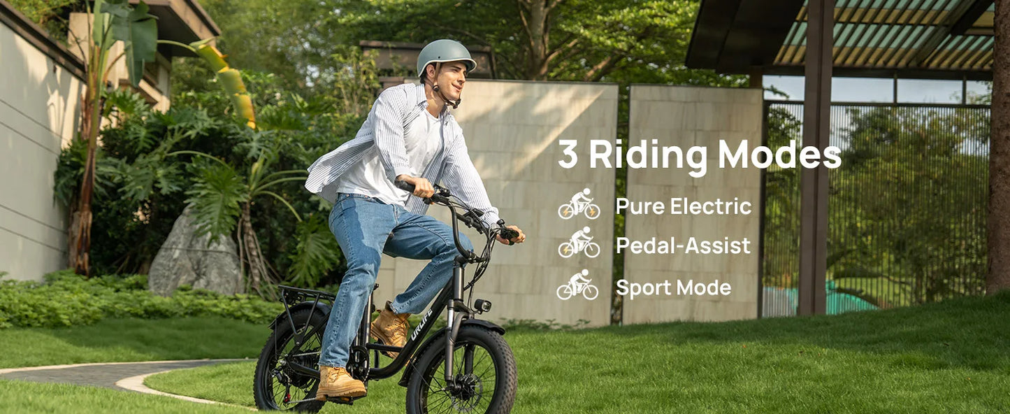 Urlife 1000W E20 Electric Bike 48V 13Ah Removable Battery Fat Tire 20x3 Brakes