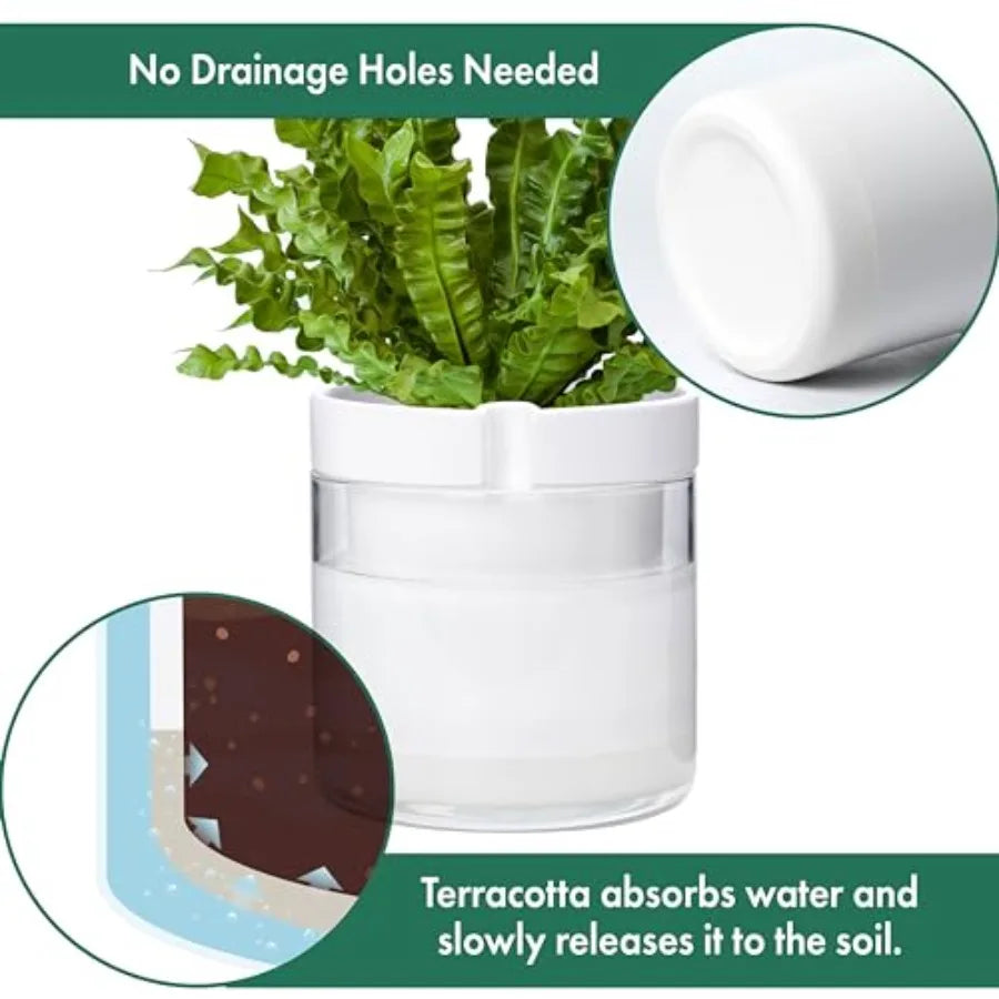 8 Inch Self Watering Planter White Terracotta Clay Pot With Glass Reservoir