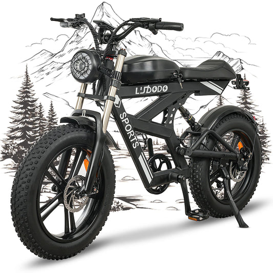 AK2 Electric Bicycle Motorcycle 750W Motor 75 Miles Snow Electric Bike 48V 840Wh Battery Shimano 7 Speed 20 Inch Fat Tire E Bike