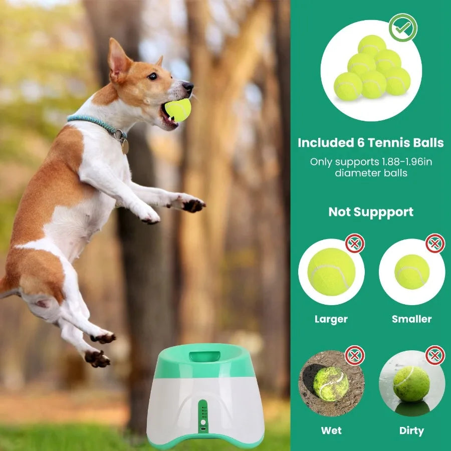 Automatic Dog Ball Launcher And 3 Adjustable Distances