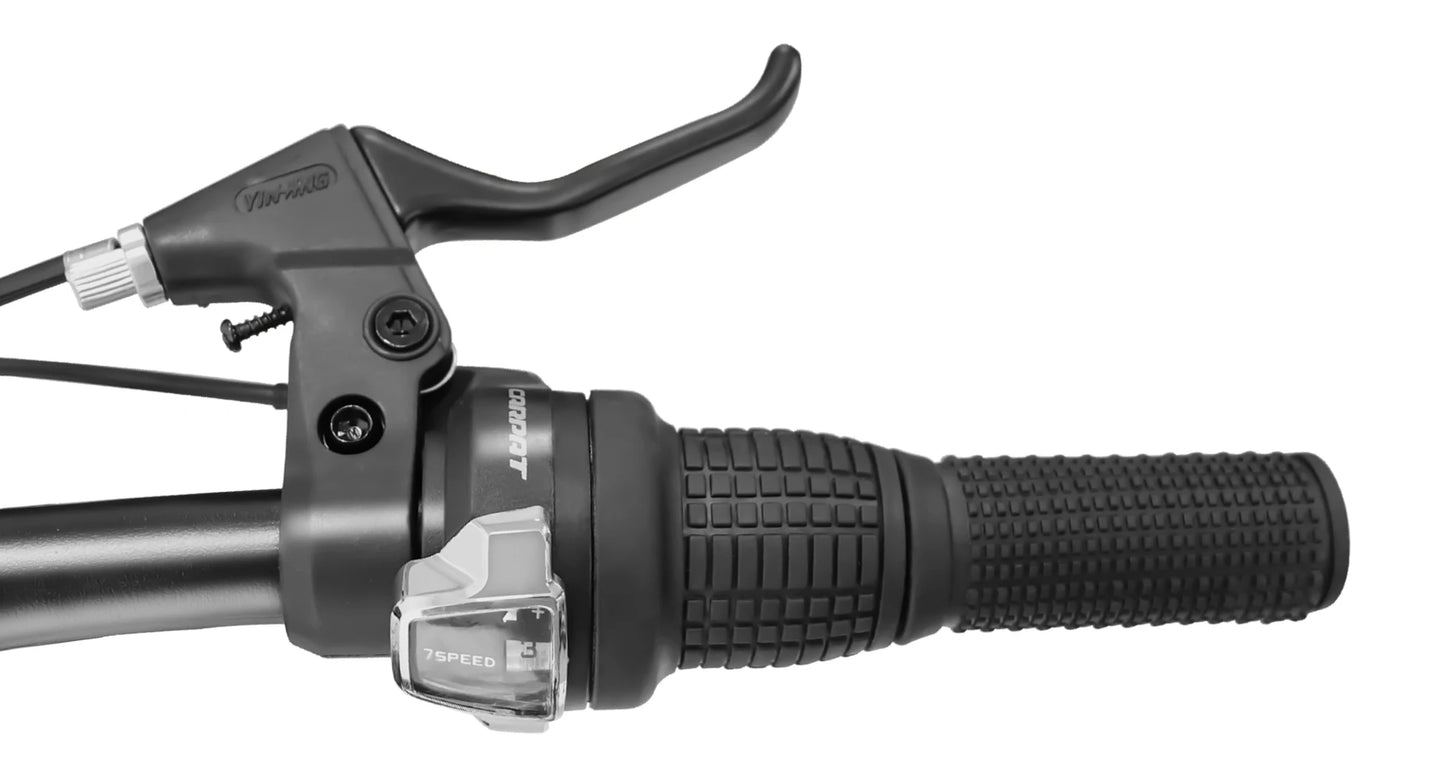 Ecarpat 26 Inch Fat Tire Mountain Bike With 21 Speed Steel Frame Disc Brake