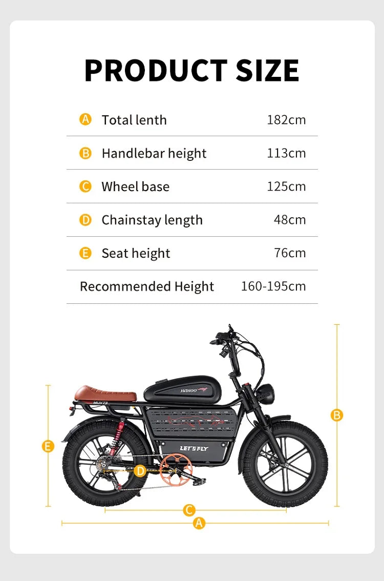 HAHOO H20 20 Inch EBike Mountain Bike 2000W Dual Suspension