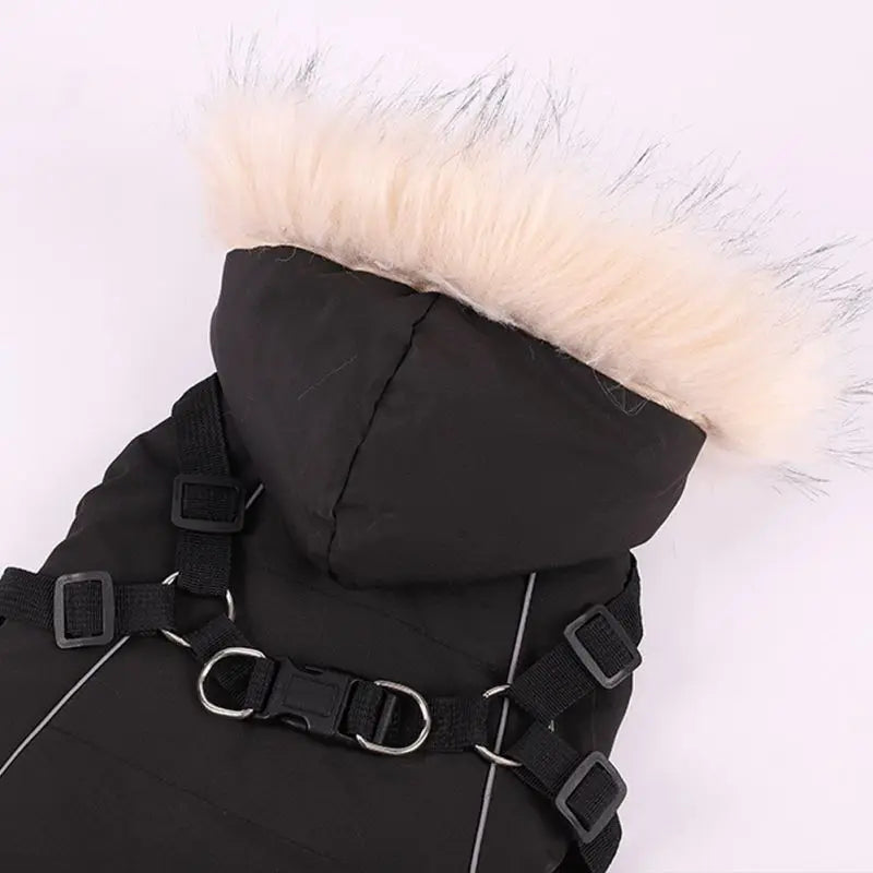 Winter Dog Coat With Harness Waterproof Hooded Jacket For Small Medium Dogs