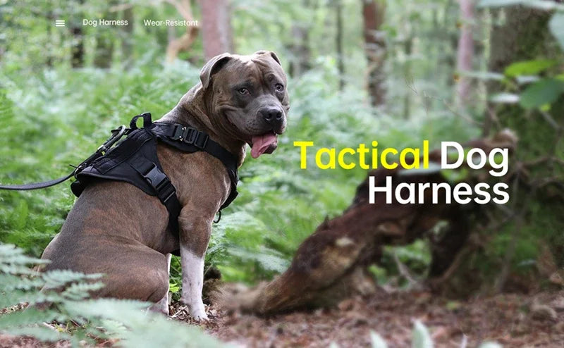 Tactical Military Vest German Shepherd Harness And Leash