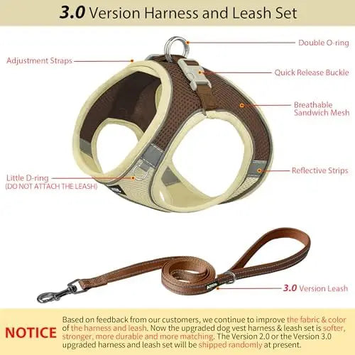 Adjustable Dog Harness And Leash Set Padded Vest Easy Fit For Small Pets