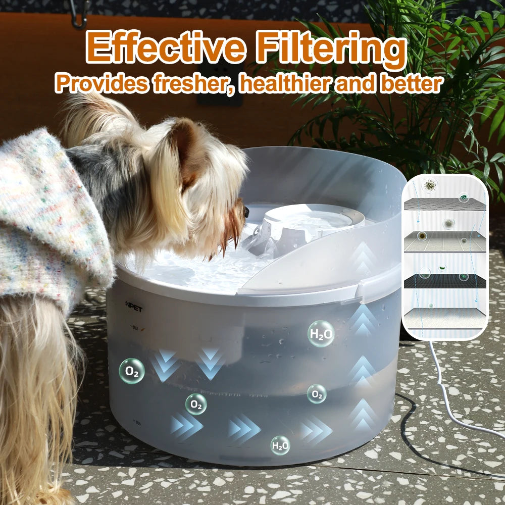 NPET 2 Gallon White Dog Water Fountain For Large And Medium Dogs