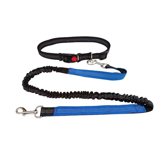 Hands Free Dog Leash For Walking Running Adjustable Belt
