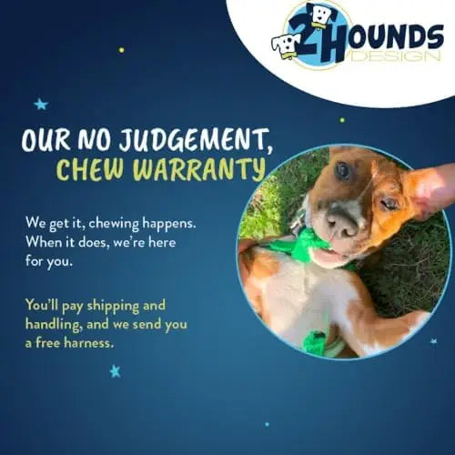 Adjustable Dog Harness For Small Medium And Large Dogs Easy Walks Comfort