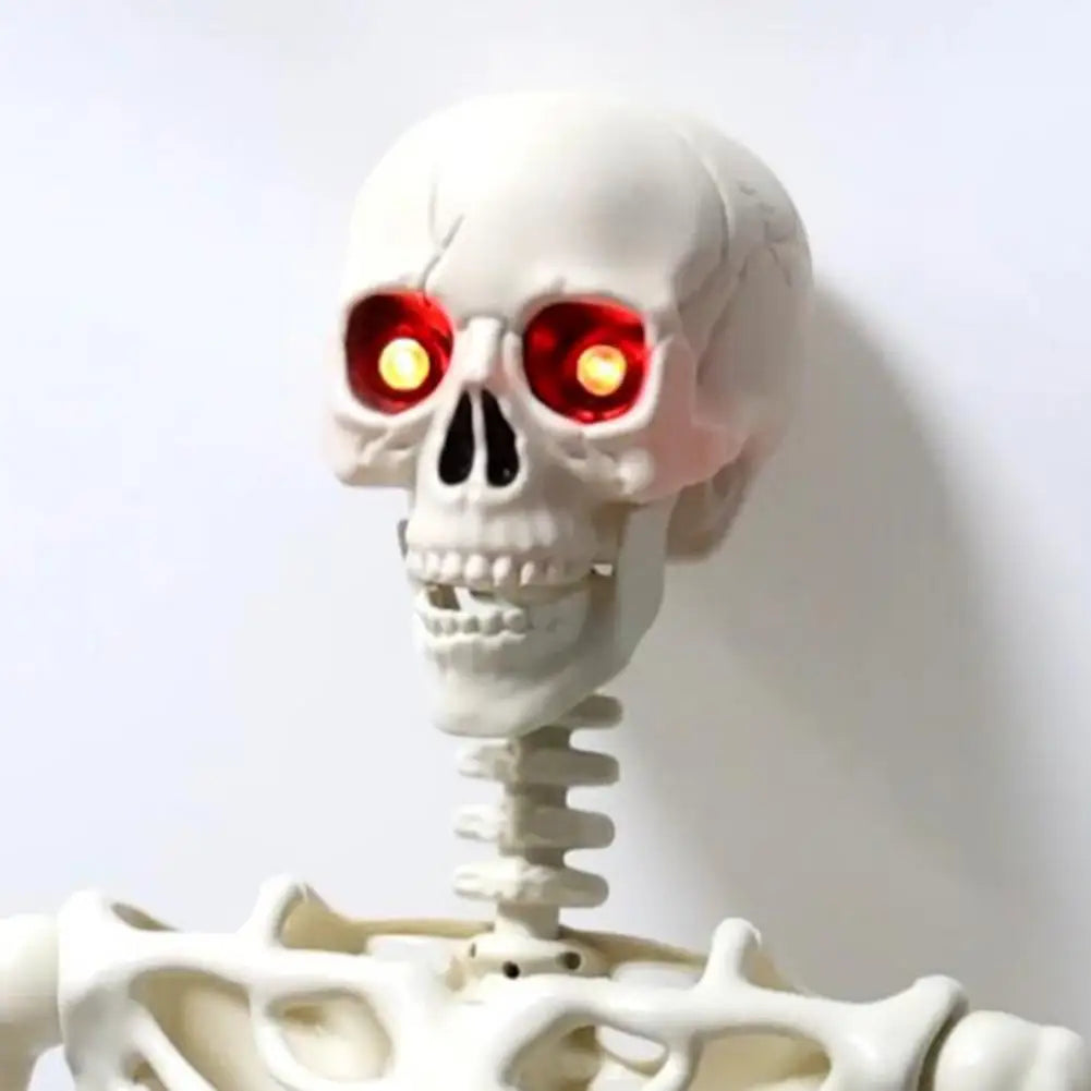 Five Point Four Feet Life Size Light Up Skeleton With Joints