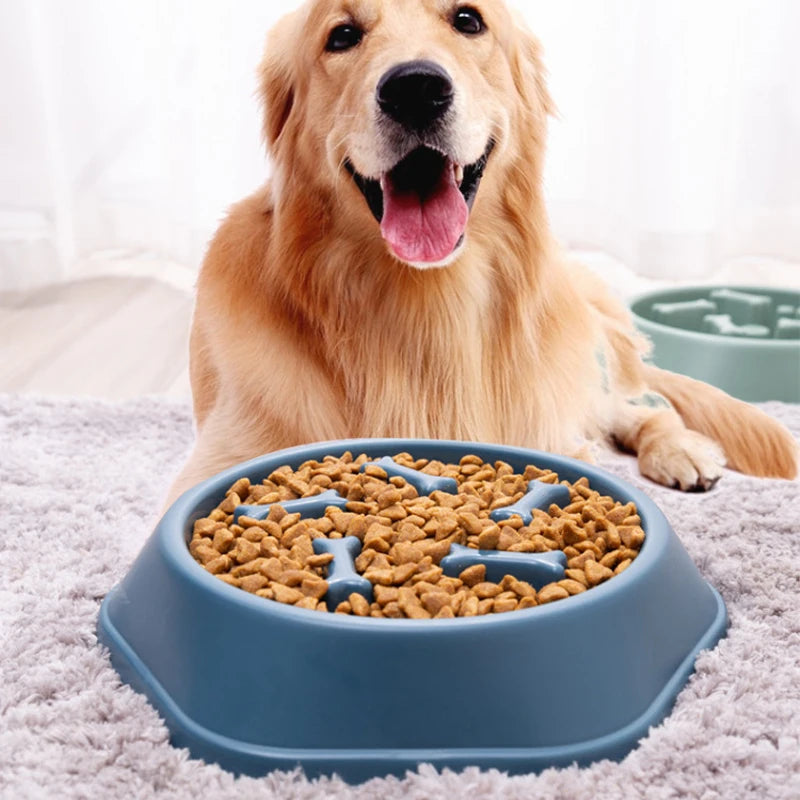 Pet Slow Feeder Bowl For Small Dogs Anti Choking PP Plastic Dish