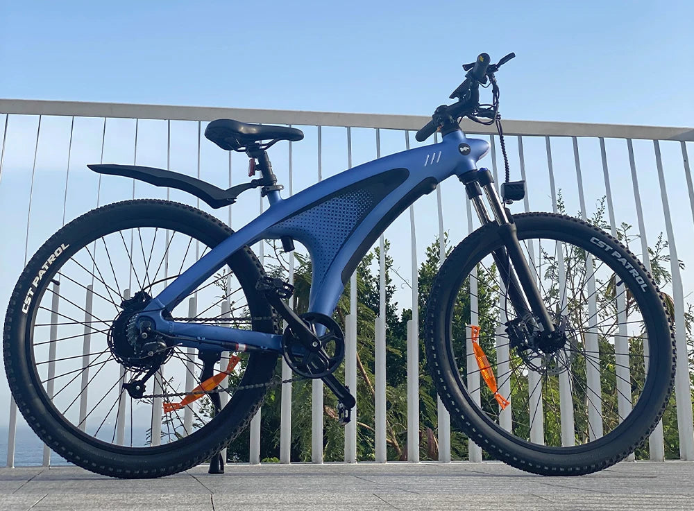 HX Q5 2000W Electric Mountain E Bike 48V 20Ah Off Road
