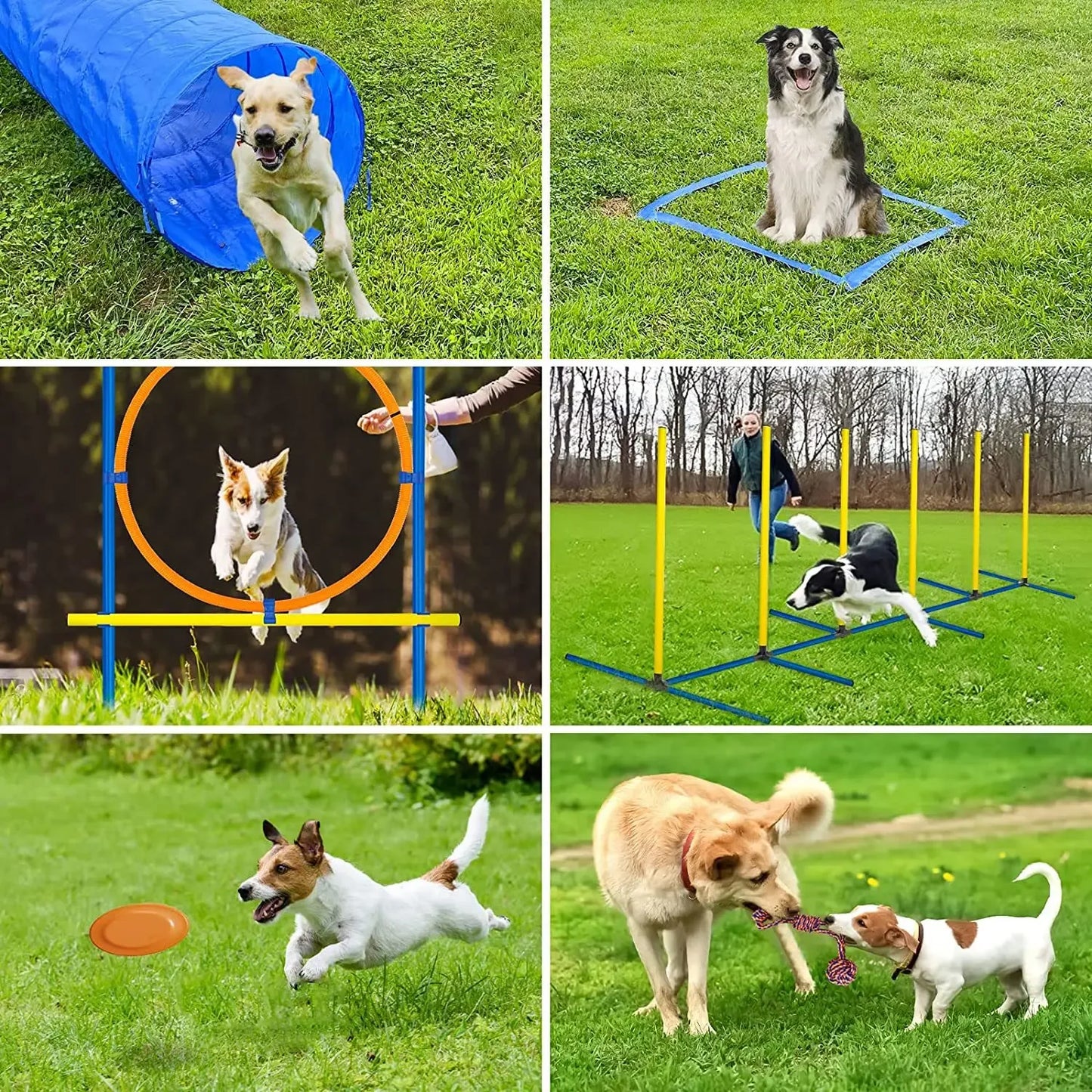 Dog Agility Training Set Jumping Bar Obstacle Hurdle Equipment For Pets