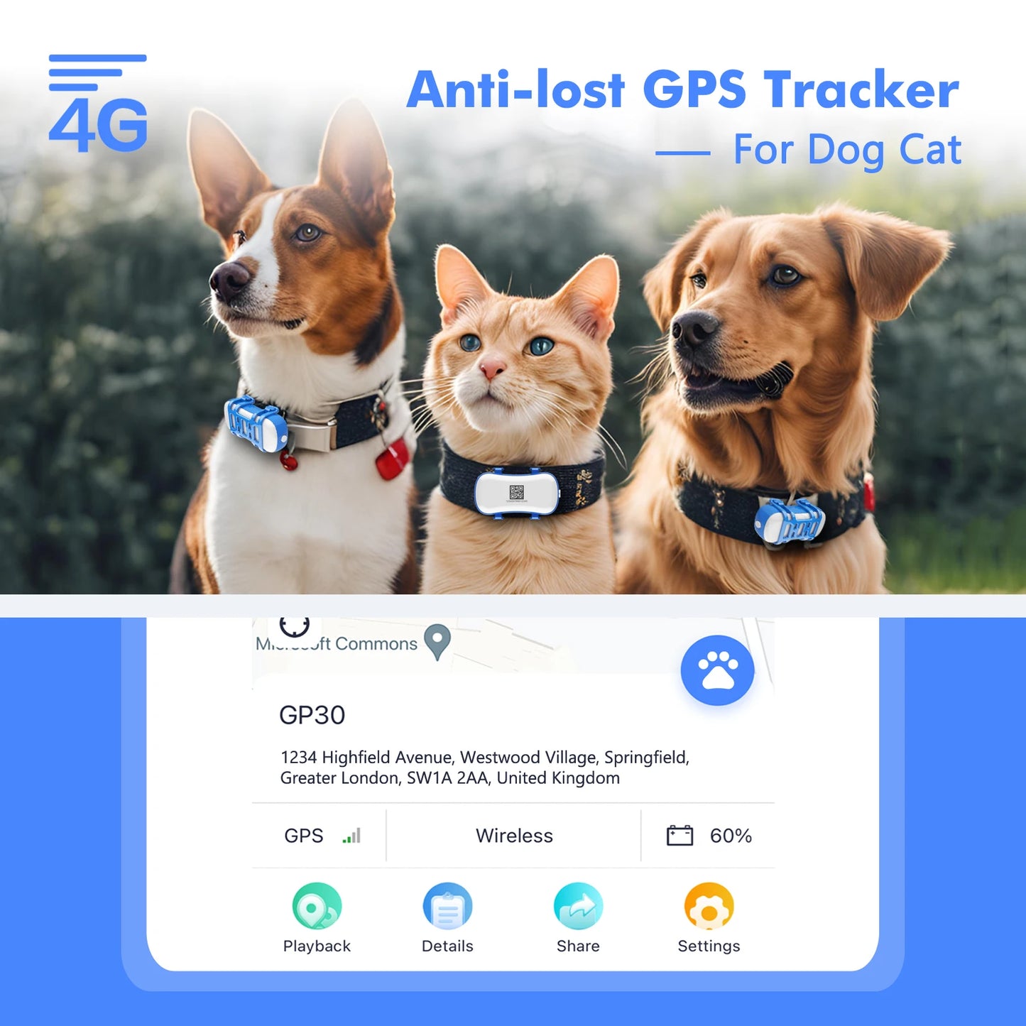 4G Dog Cat GPS Tracker Waterproof Smart Locator with App Live Tracking and Light Sound Search