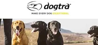 Handsfree Remote Dog Training E Collar Range Three Quarters Mile Waterproof