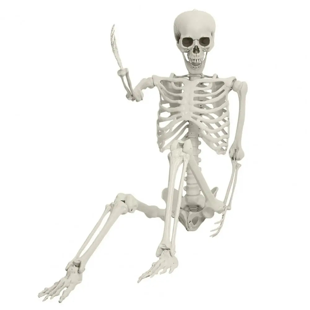 Poseable Skeleton Prop Life Size Decoration for Halloween