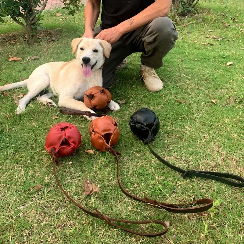 Leather Dog Training Ball Toy With Handle For Fetch And Tug