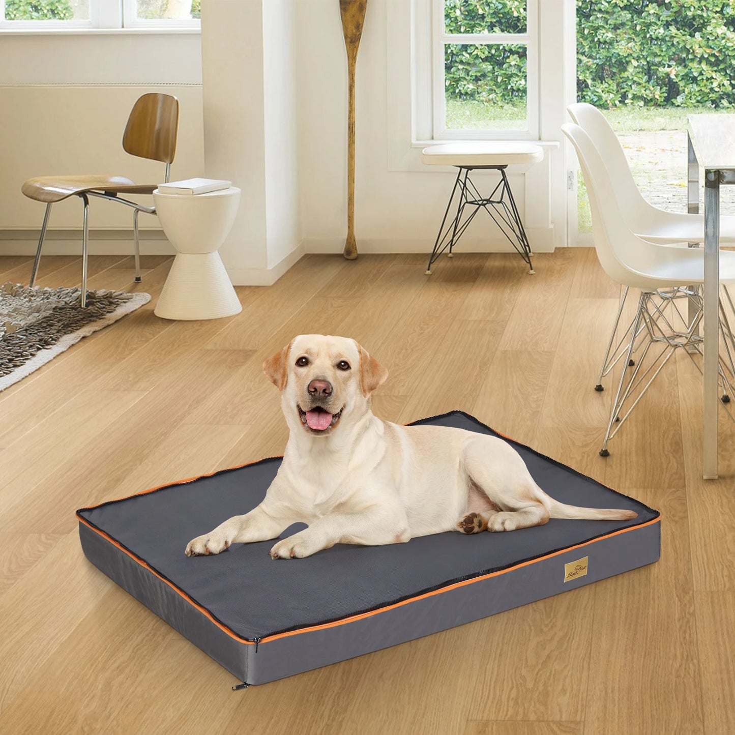 Large Orthopedic Dog Bed With Padded Foam Cushion Washable