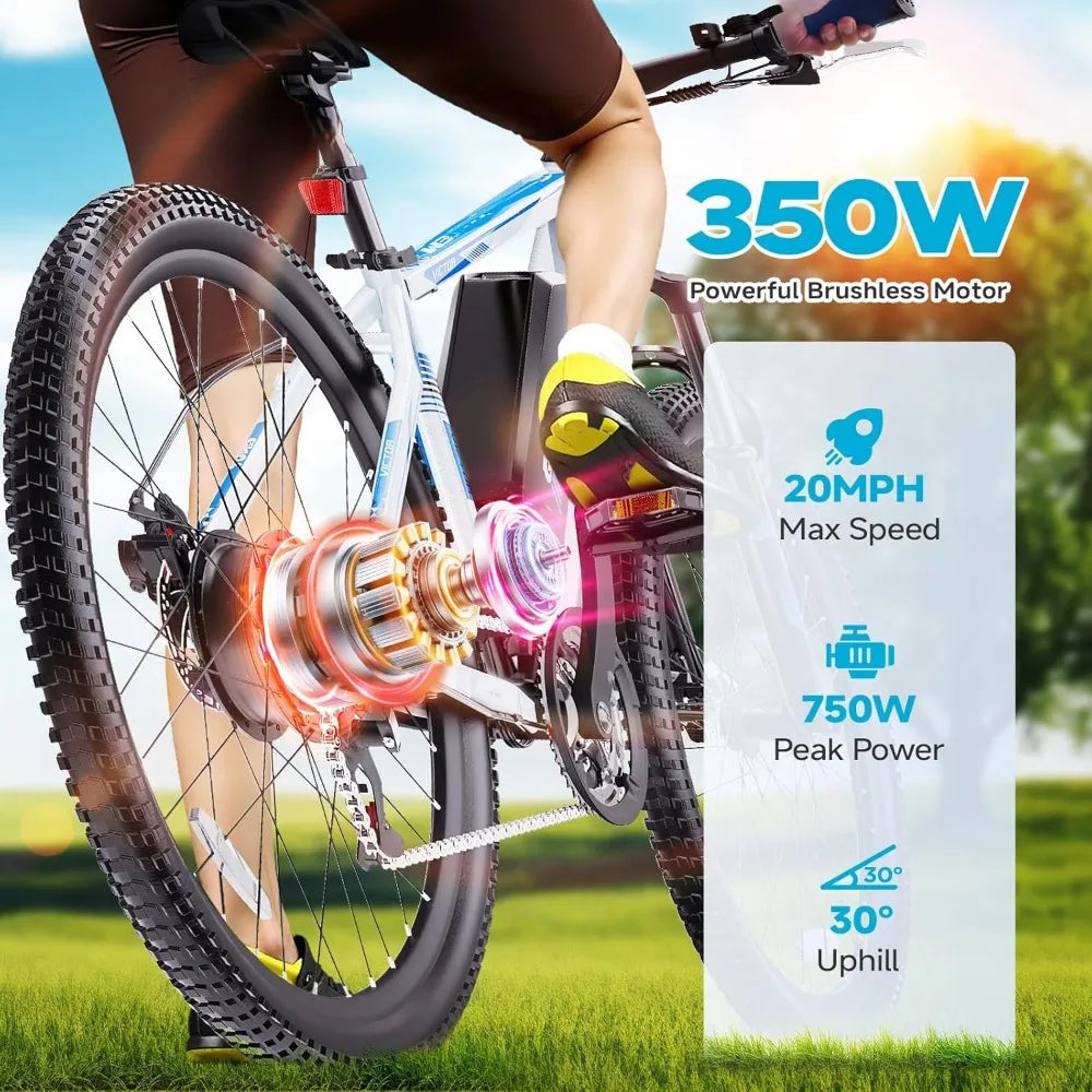 Electric Bike 350W 26 Inch 21 Speed Dual Disc Brake