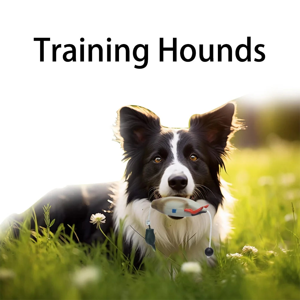 Duck Bumper Toy for Hunting Dogs Mallard Dummy Training