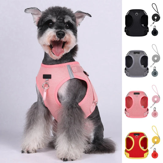 Nylon Pet Harness And Leash Set For Small And Medium Dogs And Cats Chest Strap