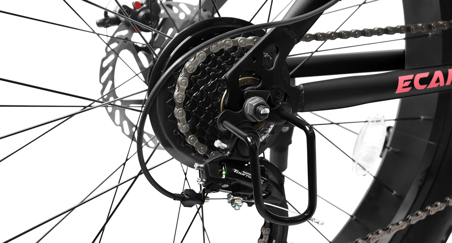 Ecarpat 26 Inch Fat Tire Mountain Bike With 21 Speed Steel Frame Disc Brake