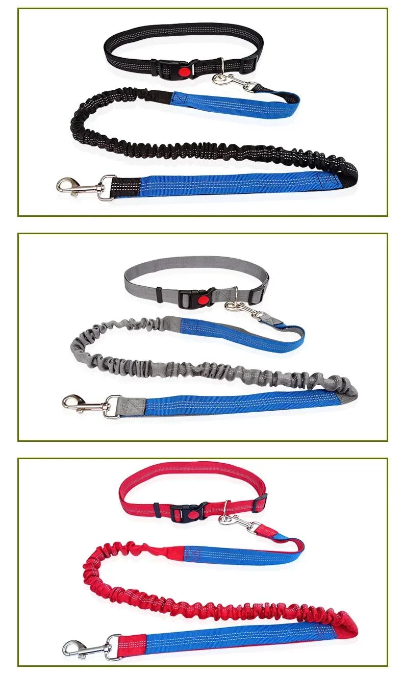 Hands Free Dog Leash For Walking Running Adjustable Belt