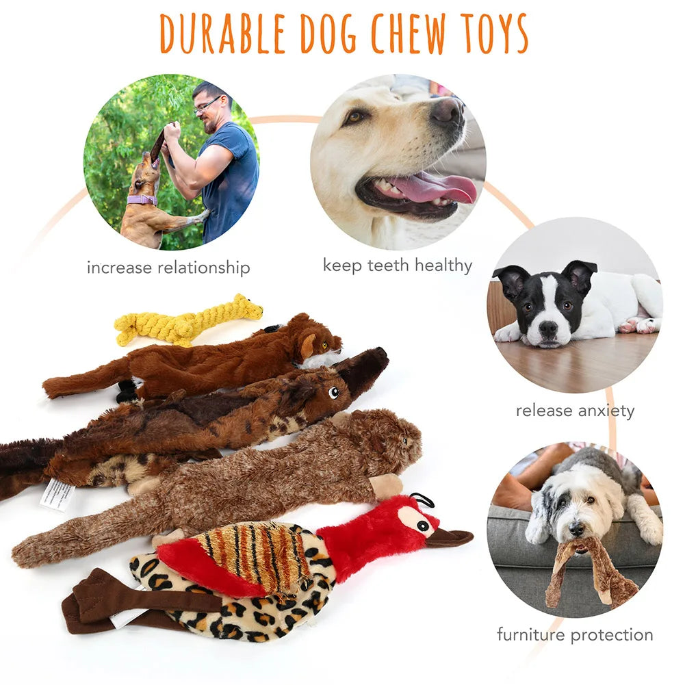 5 Pack Crinkle Squeaky Dog Toys No Stuffing Durable Plush For Small Medium Dogs