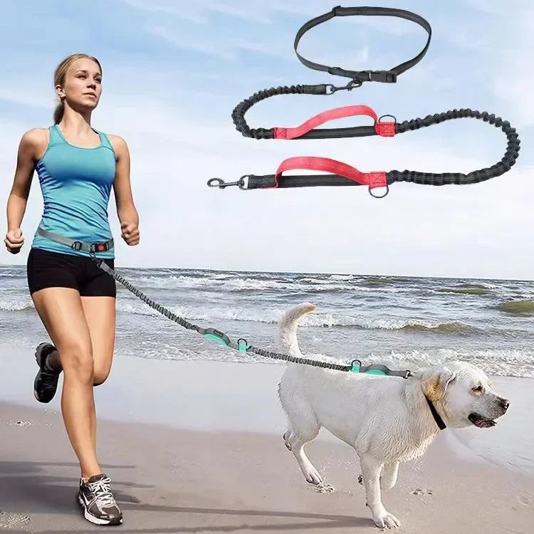 Hands Free Dog Leash For Walking Running Adjustable Belt