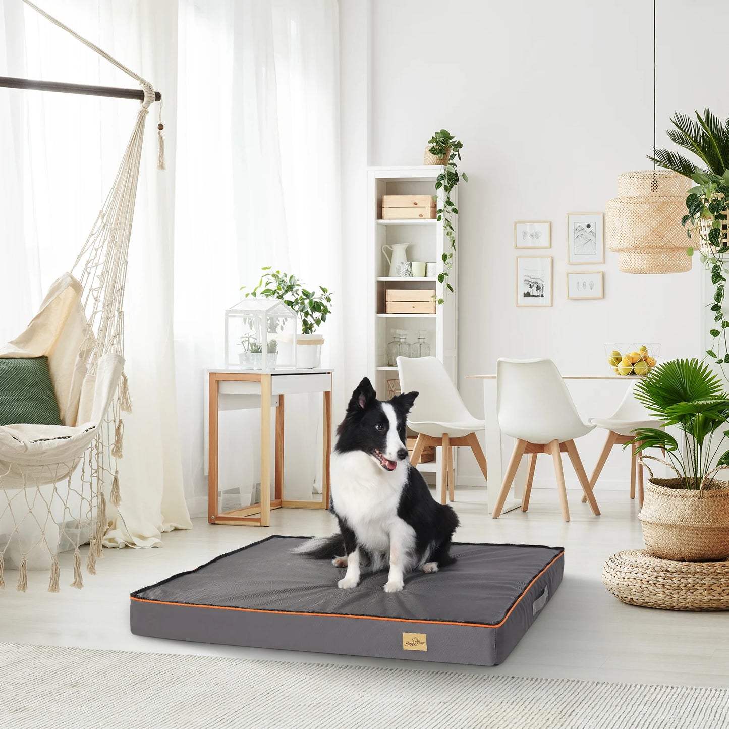 Large Orthopedic Dog Bed With Padded Foam Cushion Washable