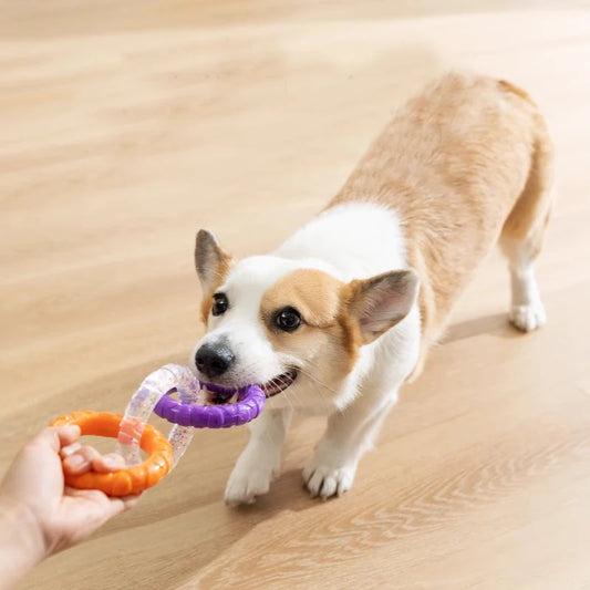 TPR Dog Chew Toy Teeth Cleaning Interactive 3 Ring Tug For Small Medium Large
