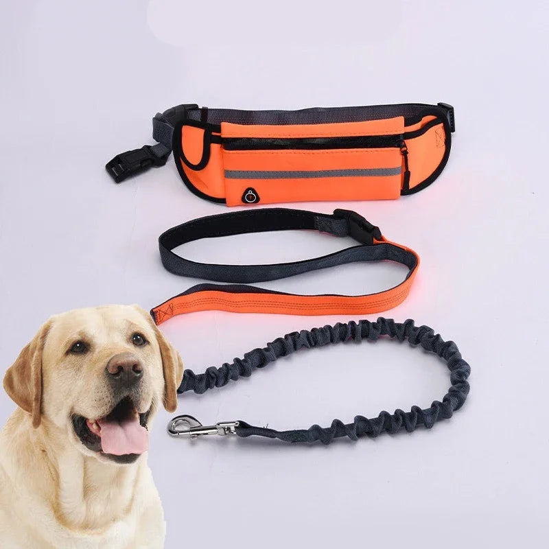 Hands Free Dog Leash Retractable Elastic Belt With Reflective Waist Bag Running