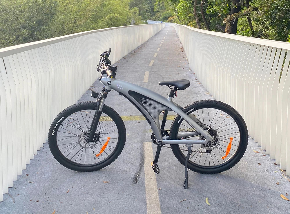 HX Q5 2000W Electric Mountain E Bike 48V 20Ah Off Road