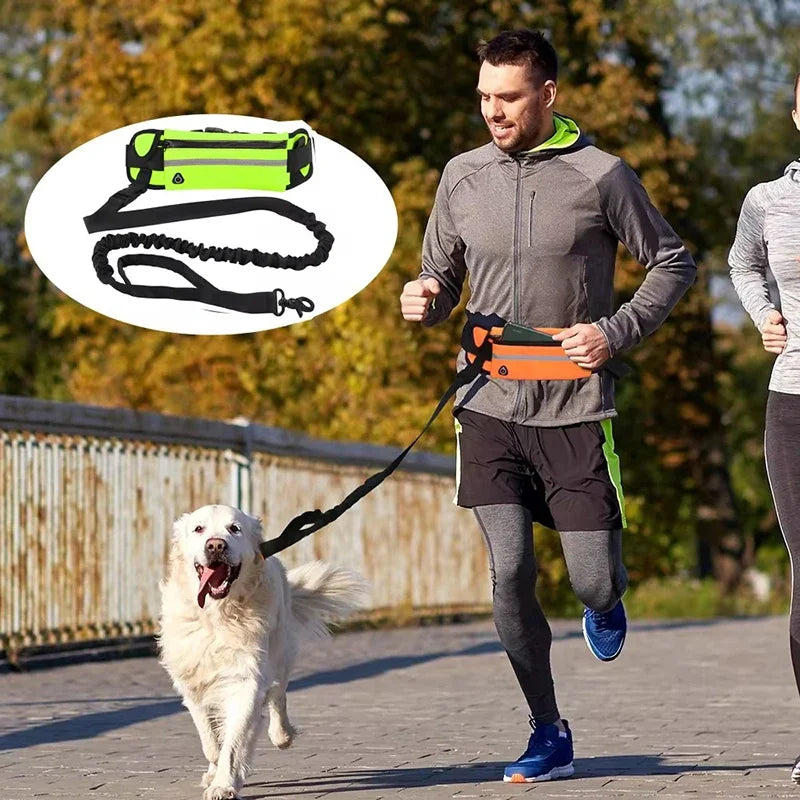 Hands Free Dog Leash Retractable Elastic Belt With Reflective Waist Bag Running