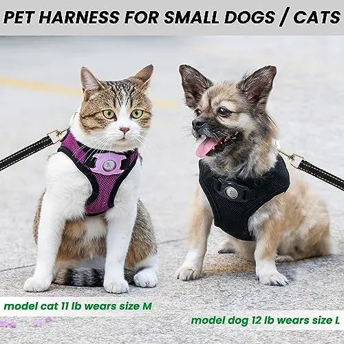 Small Dog Harness AirTag Set With Reflective Leash For Safe And Easy Walking