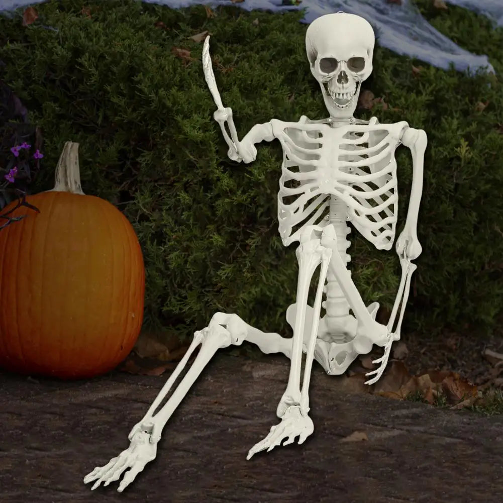 Poseable Skeleton Prop Life Size Decoration for Halloween
