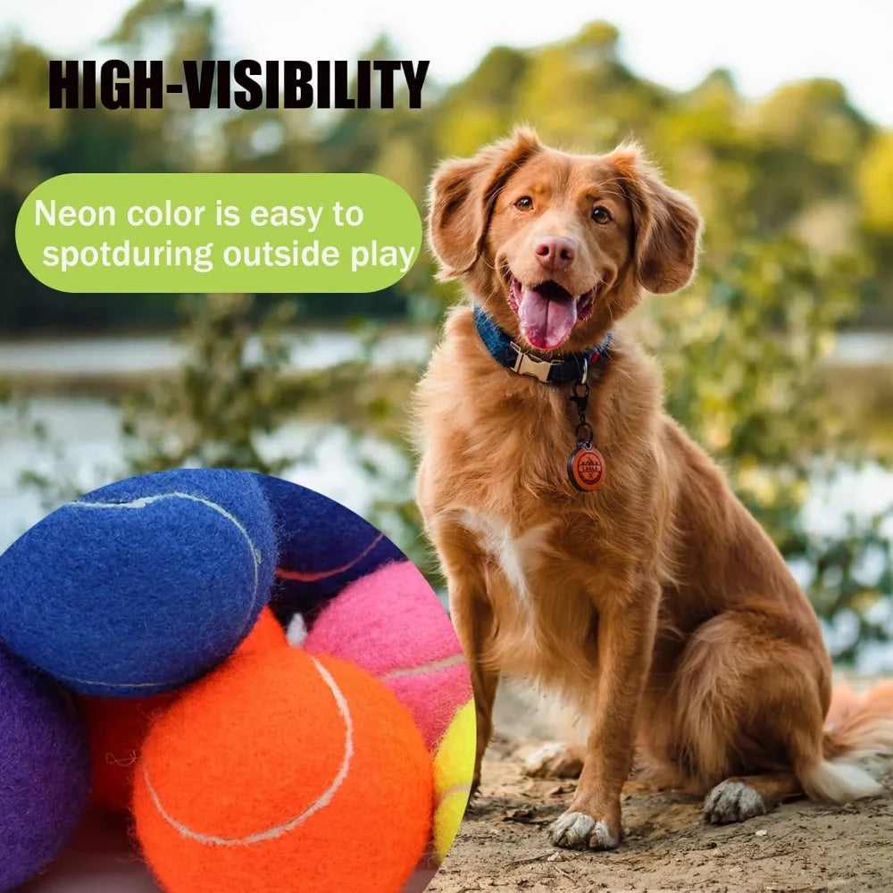 Magicorange Large Tennis Balls for Dogs 6 Pack 4 Inch Toy