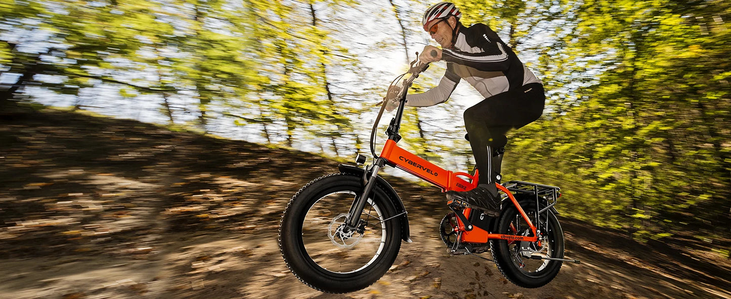1000W Folding Electric Bike With Removable 48V 20Ah Battery