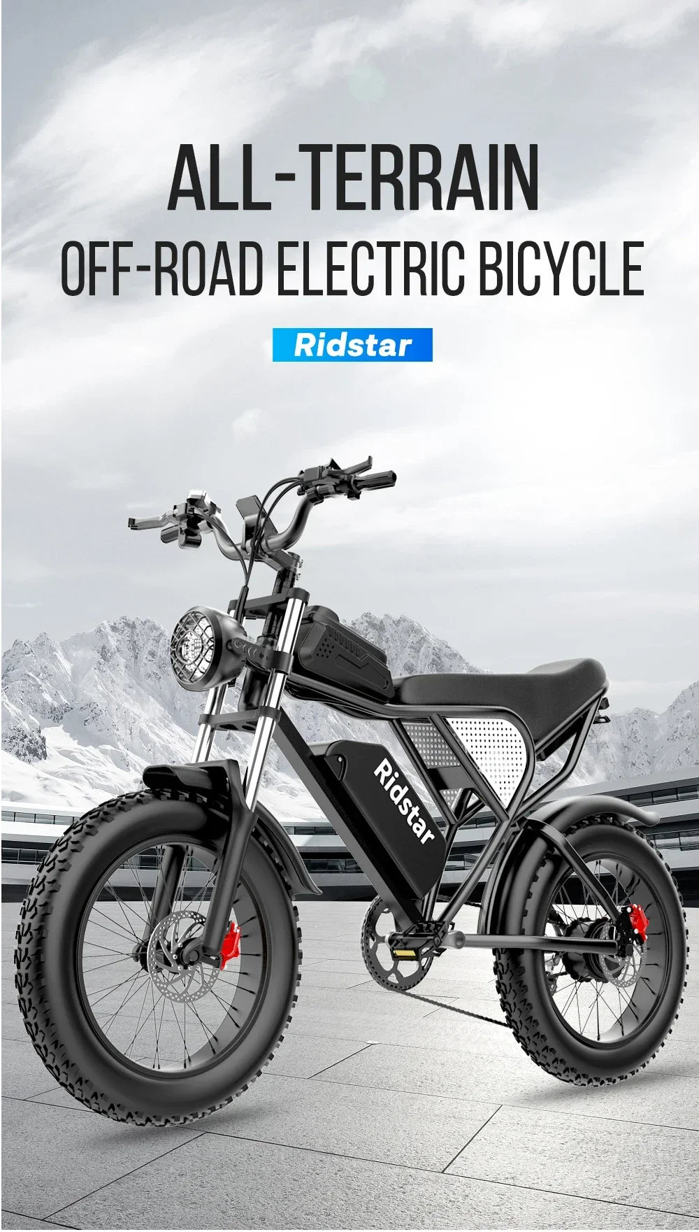 RidstarQ20 2000W Dual Motor Mountain E Bike 52V 40Ah