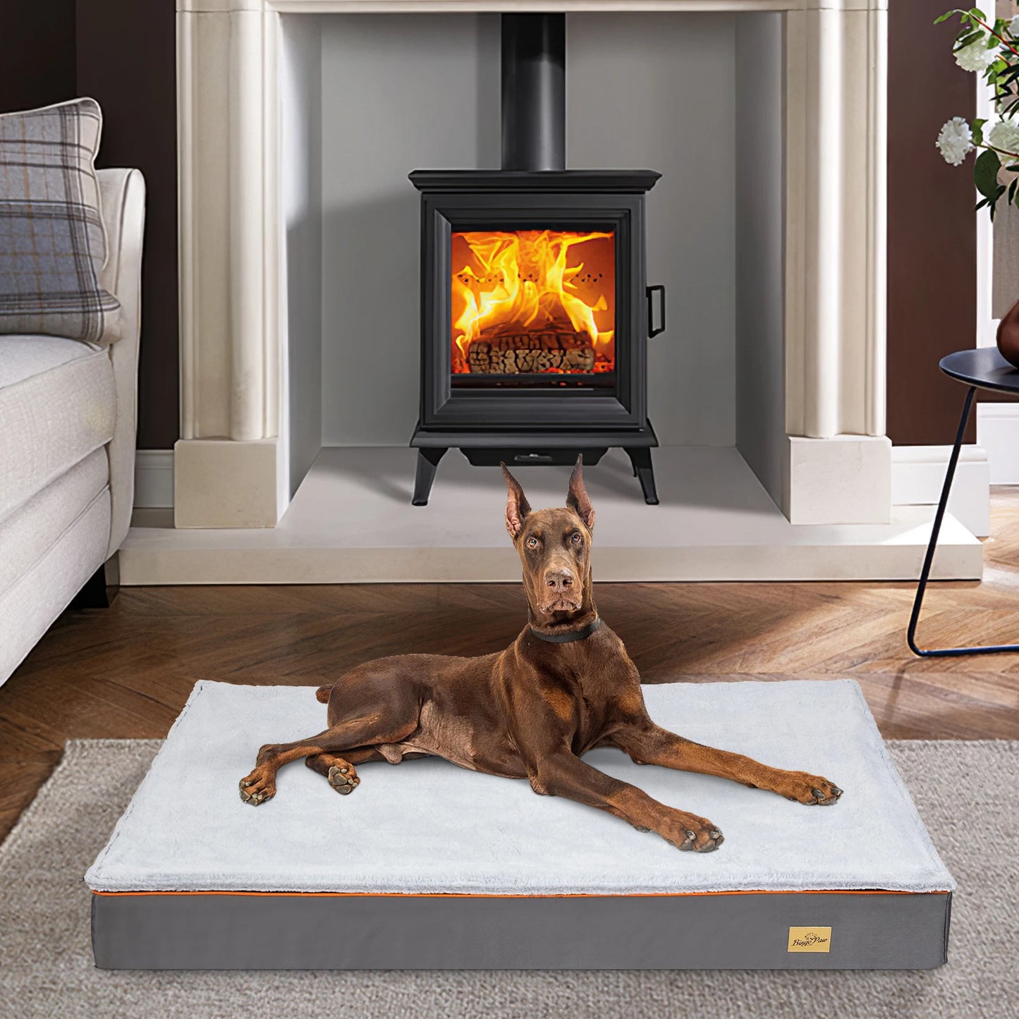 Large Orthopedic Dog Bed With Padded Foam Cushion Washable