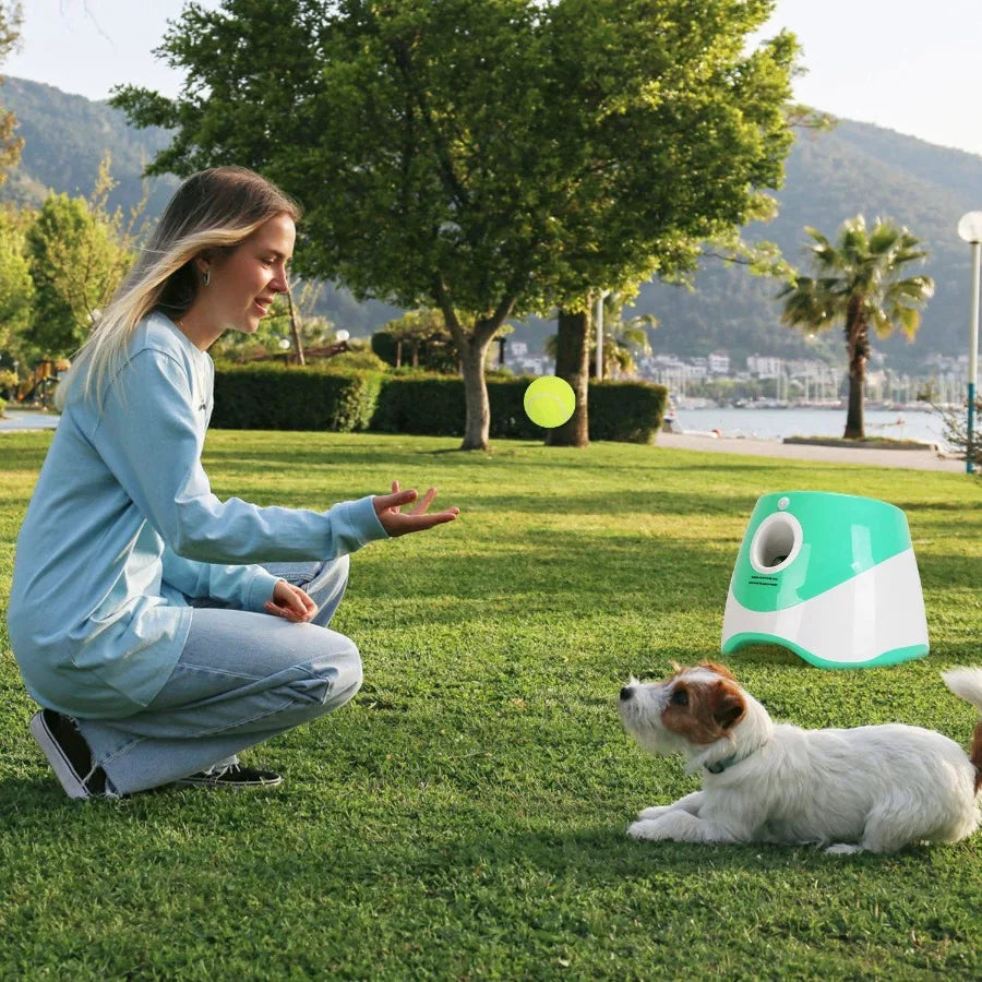 Automatic Dog Ball Launcher And 3 Adjustable Distances
