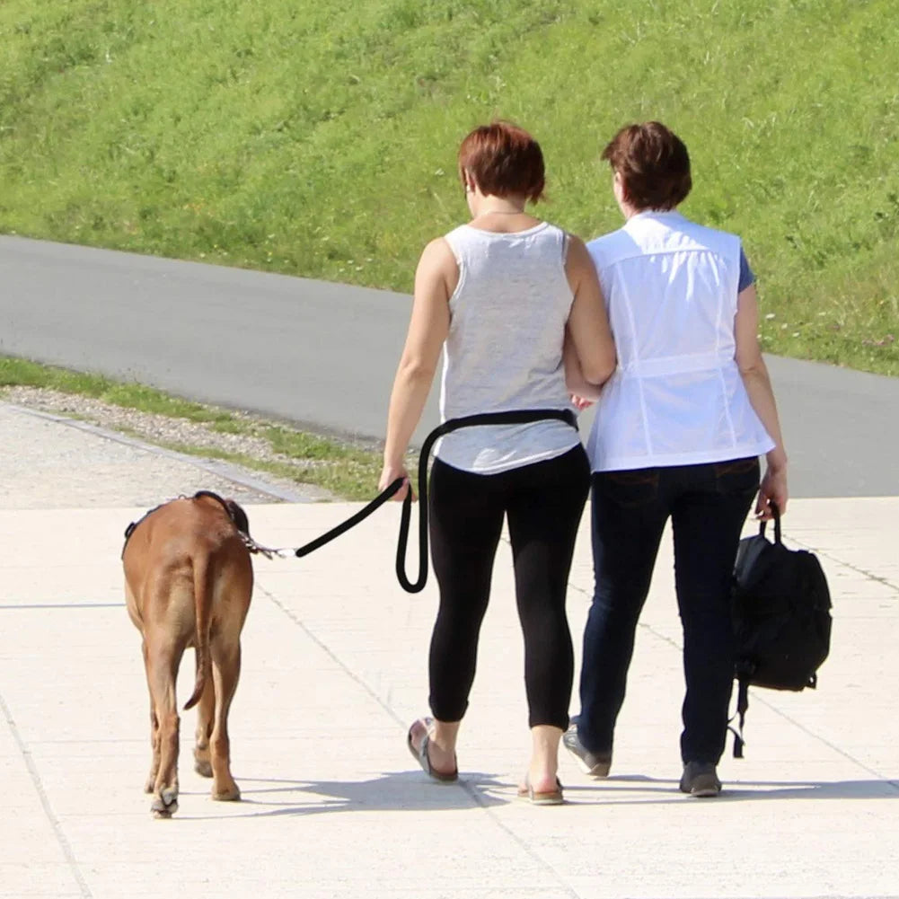 Adjustable Dog Leash Halti Training Double Ended Police 2M